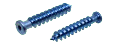 Low Profile Screw